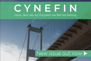 Cynefin Magazine - Geog